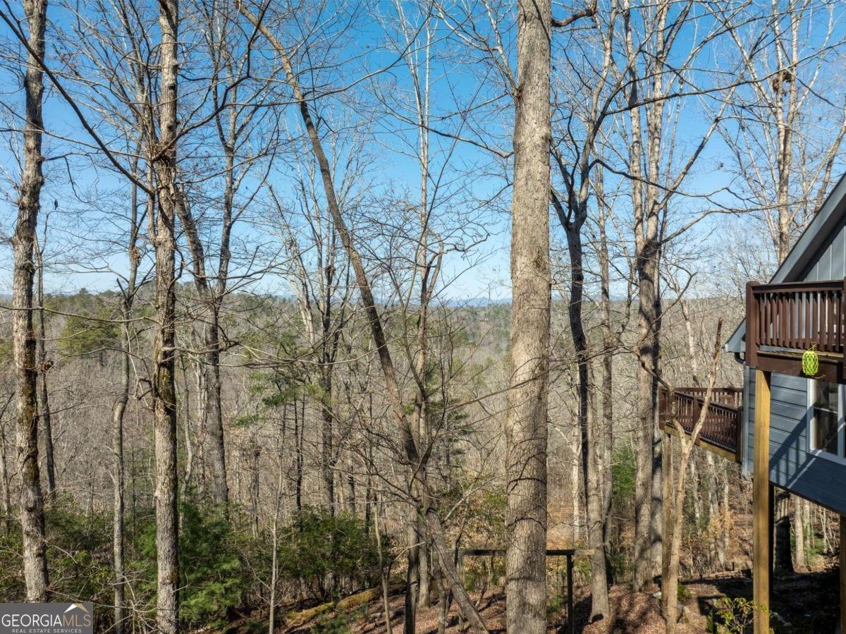 193 Alm Lane Ellijay - 18