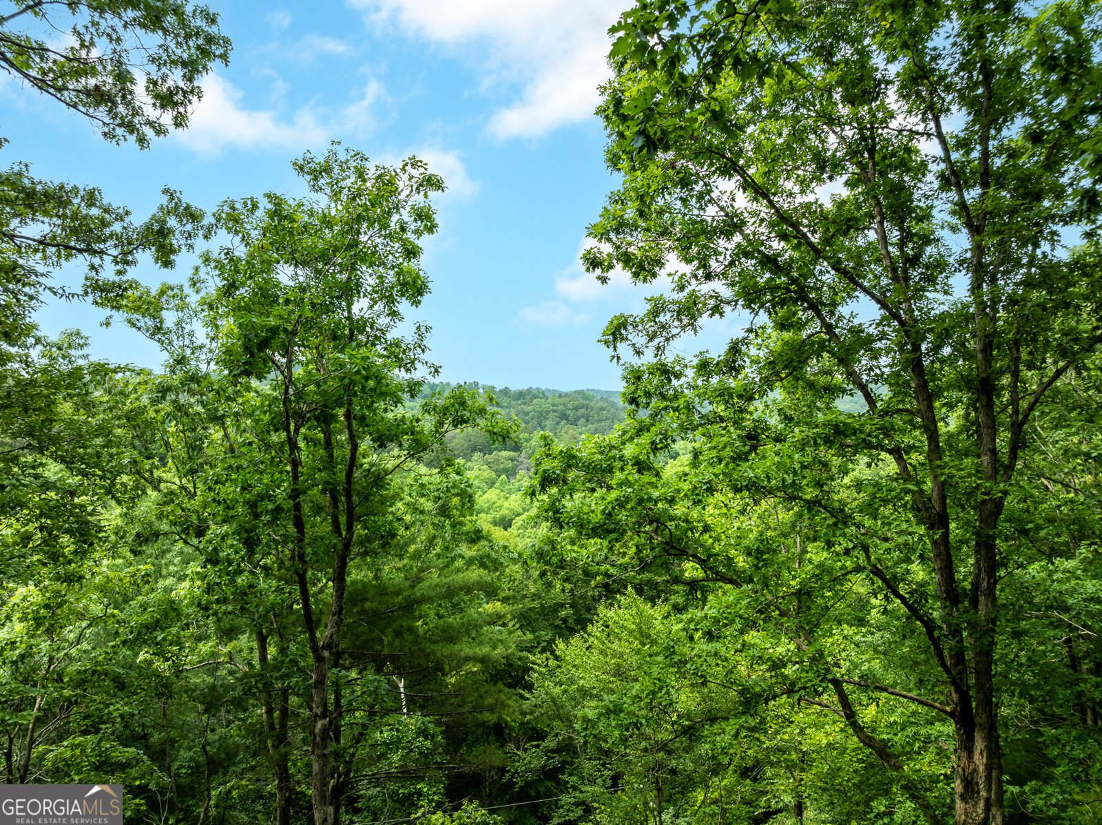 193 Alm Lane Ellijay - 2