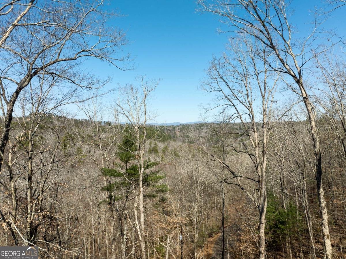 193 Alm Lane Ellijay - 22
