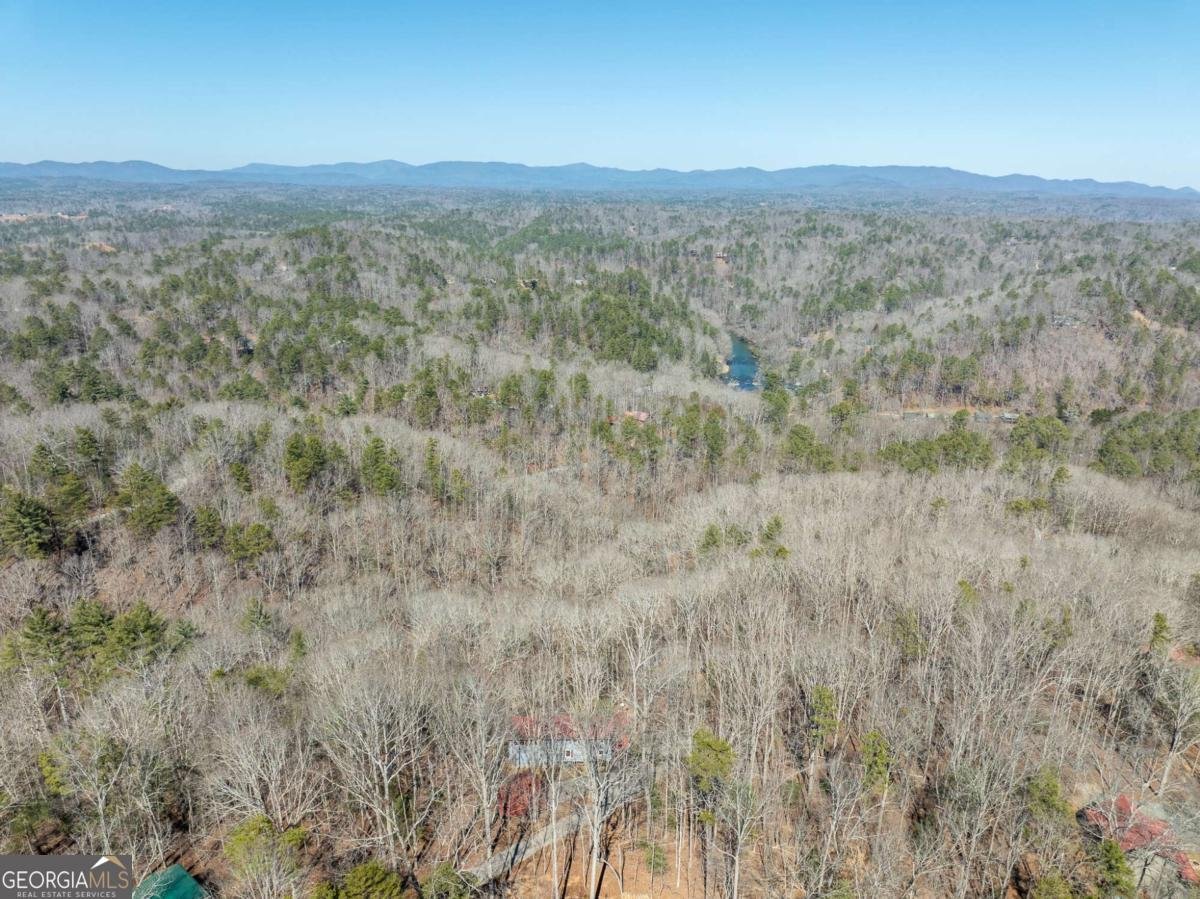 193 Alm Lane Ellijay - 25