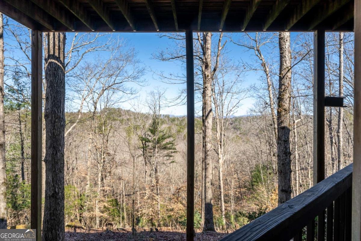 193 Alm Lane Ellijay - 29