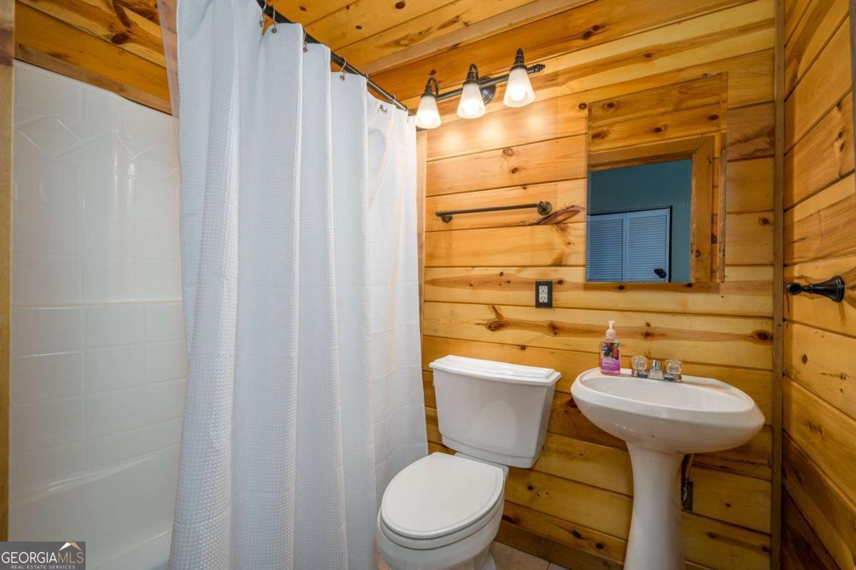 193 Alm Lane Ellijay - 39