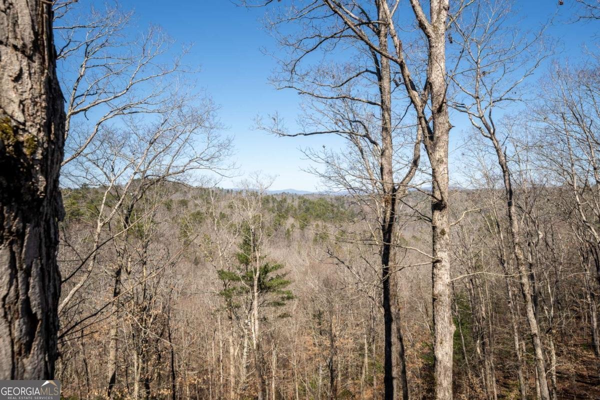 193 Alm Lane Ellijay - 40