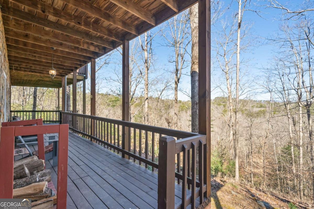 193 Alm Lane Ellijay - 65