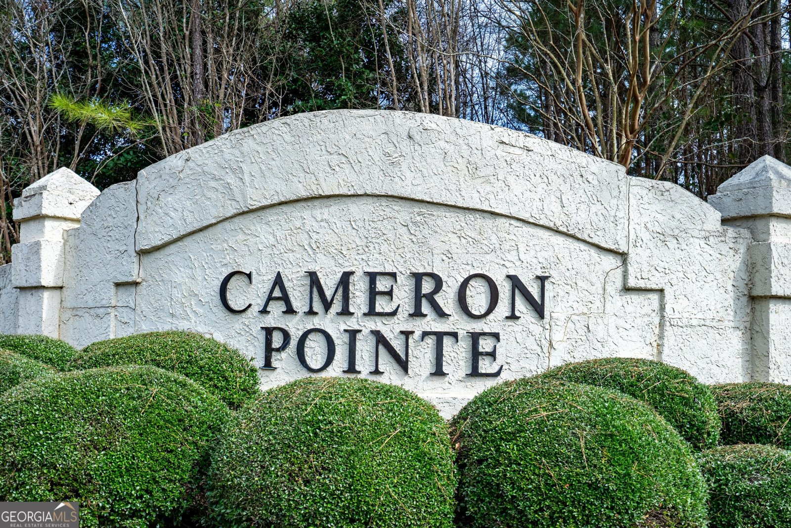 122 Cameron Pointe Drive Lagrange - 28