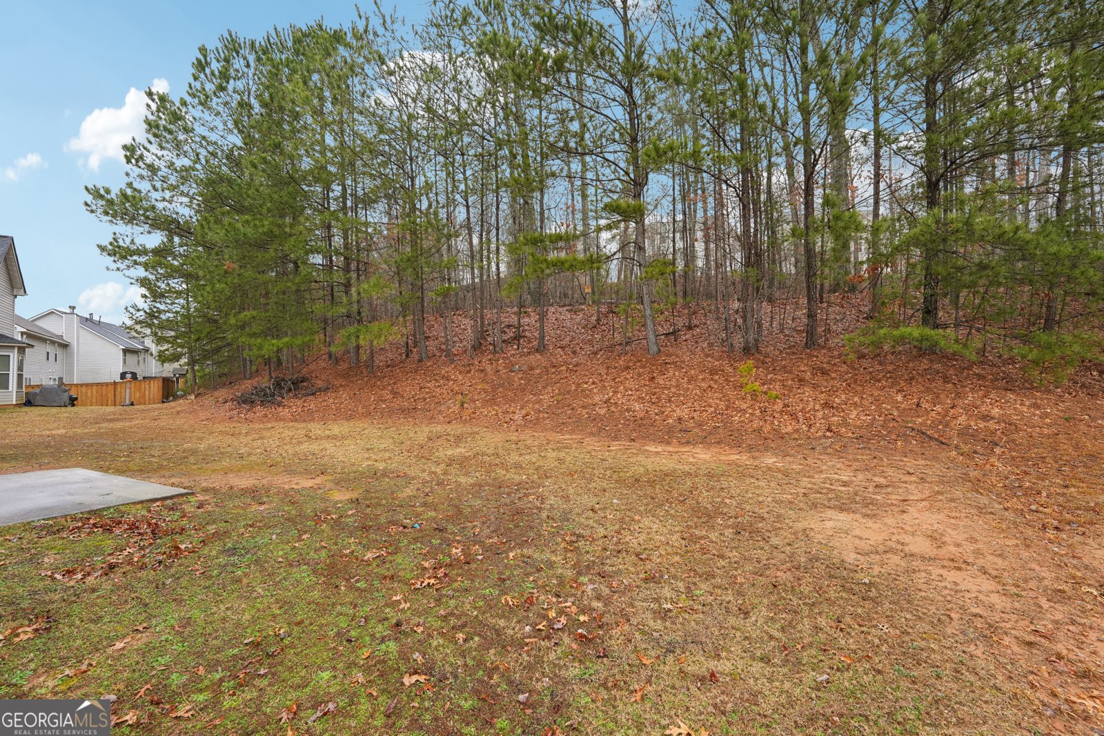 3308 Hunting Creek Pass Douglasville - 20
