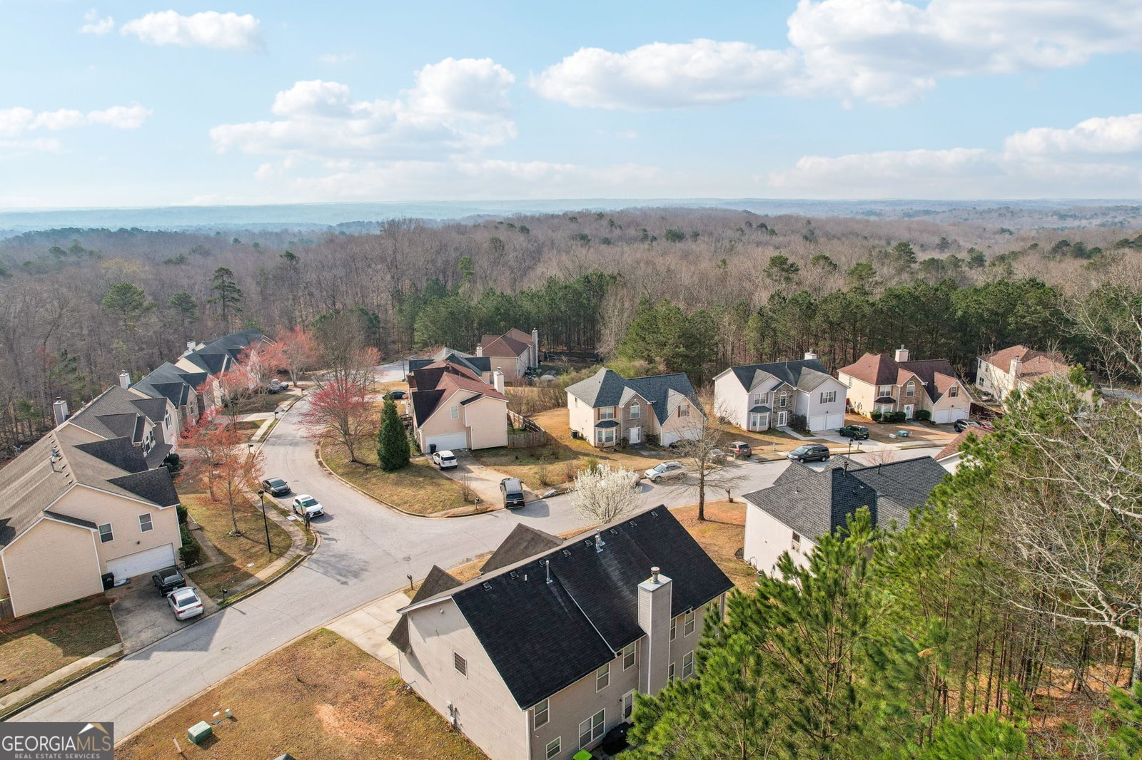 3308 Hunting Creek Pass Douglasville - 37