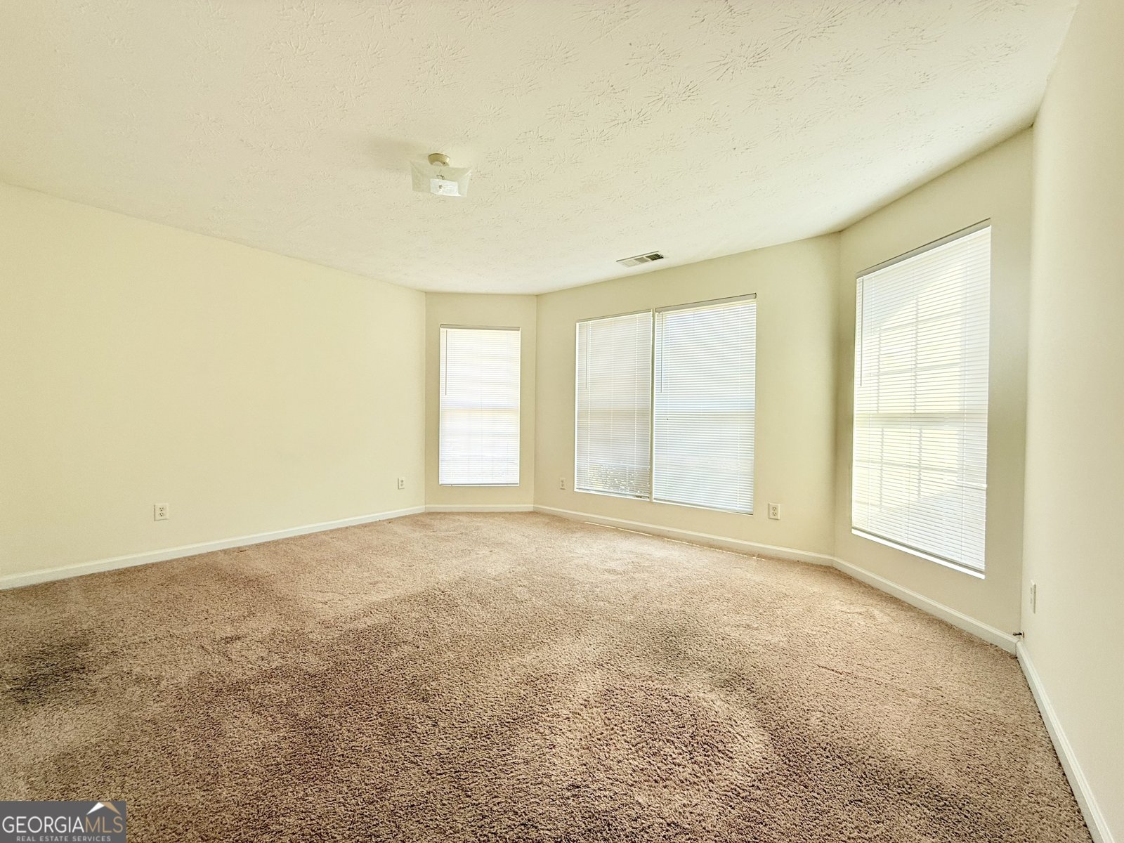 125 Whistle Way Locust Grove - 17