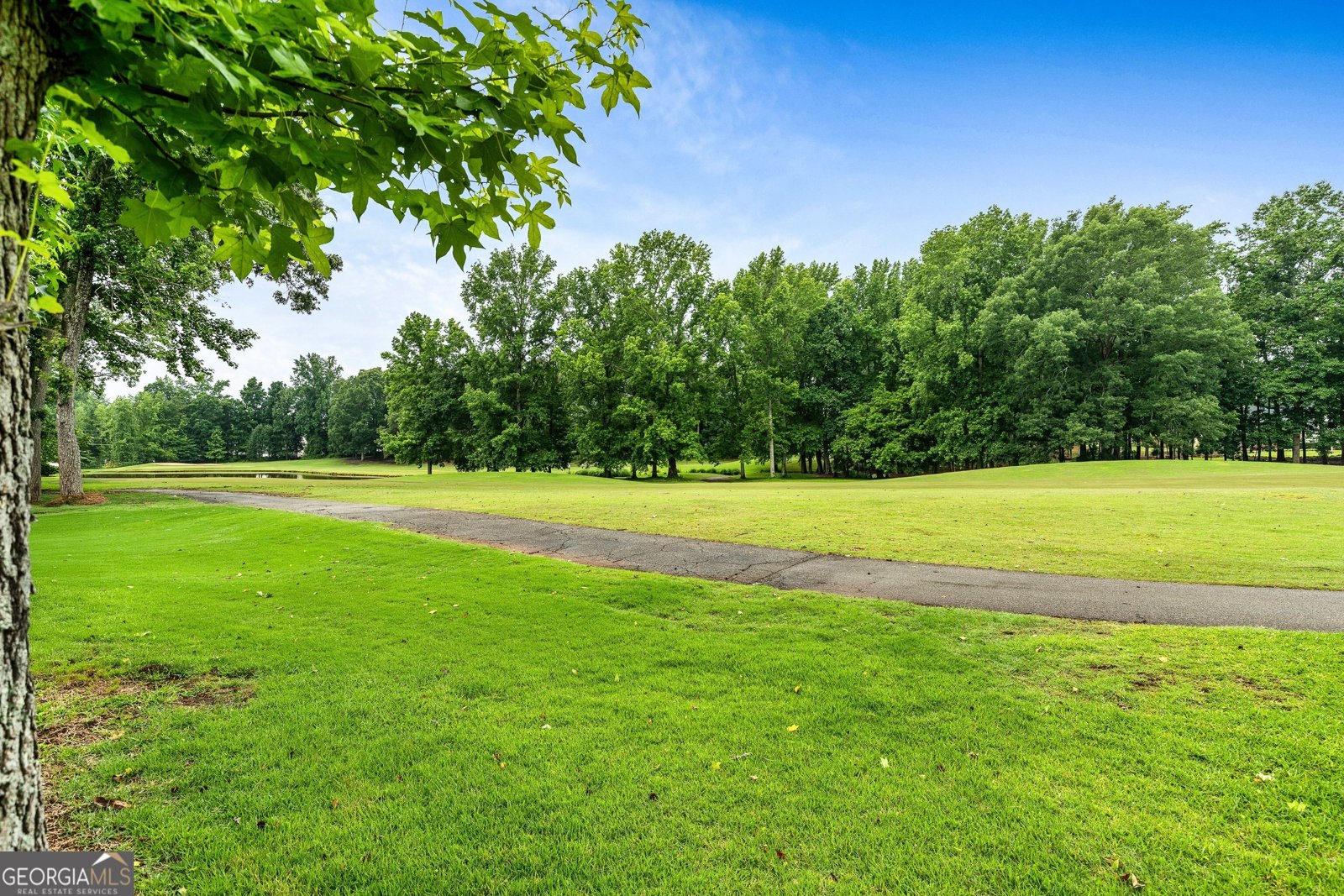 425 Fairway Court Newnan - 23