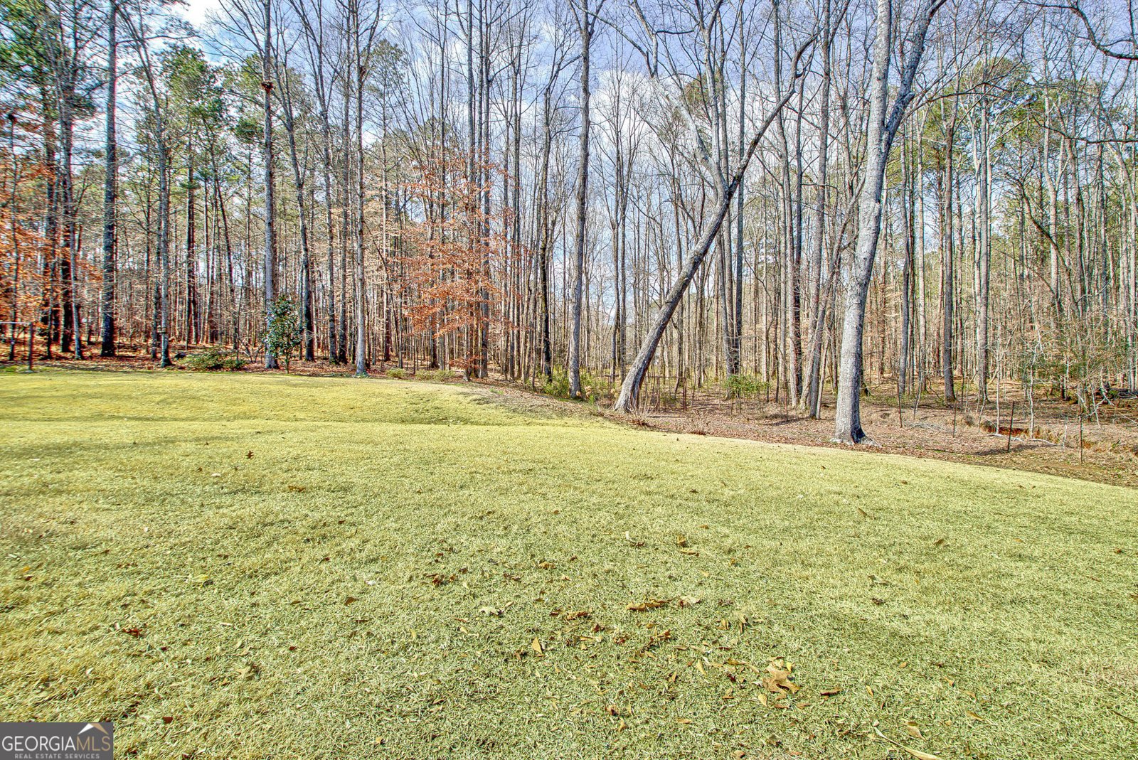 106 ROBINSON BEND Trail Peachtree City - 80
