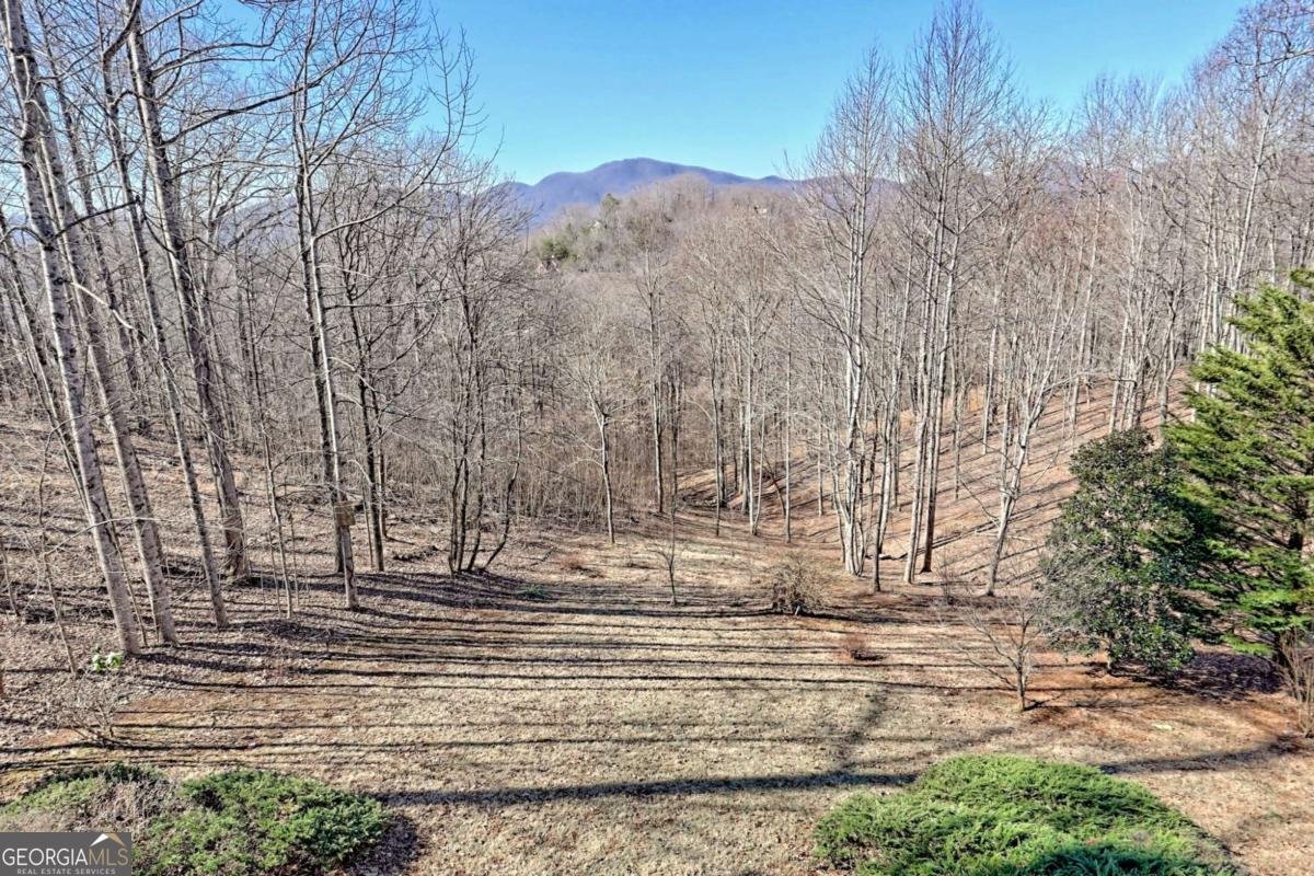 1461 Harris Ridge Road Young Harris - 36