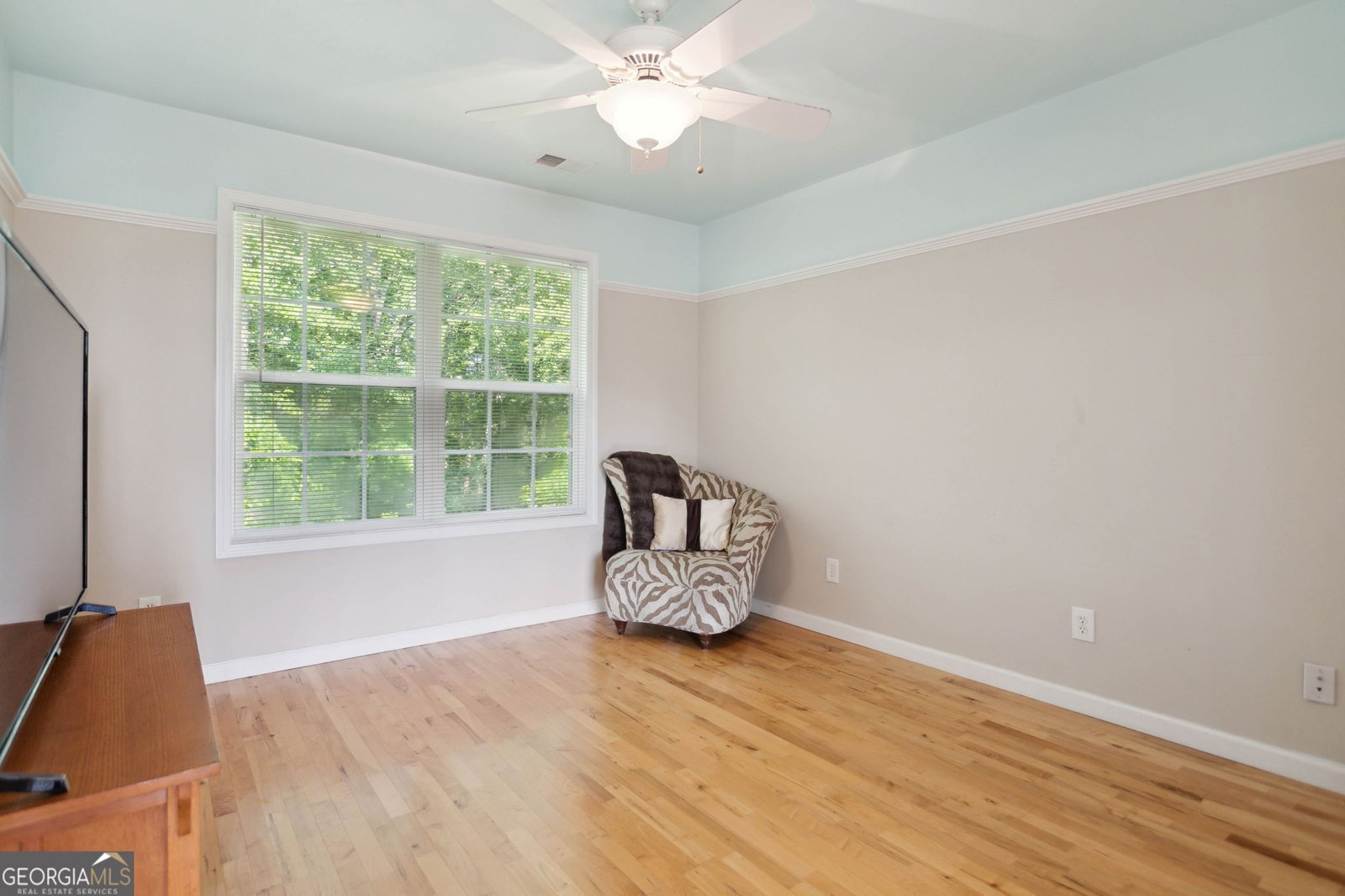260 Millbrook Village Drive Tyrone - 20
