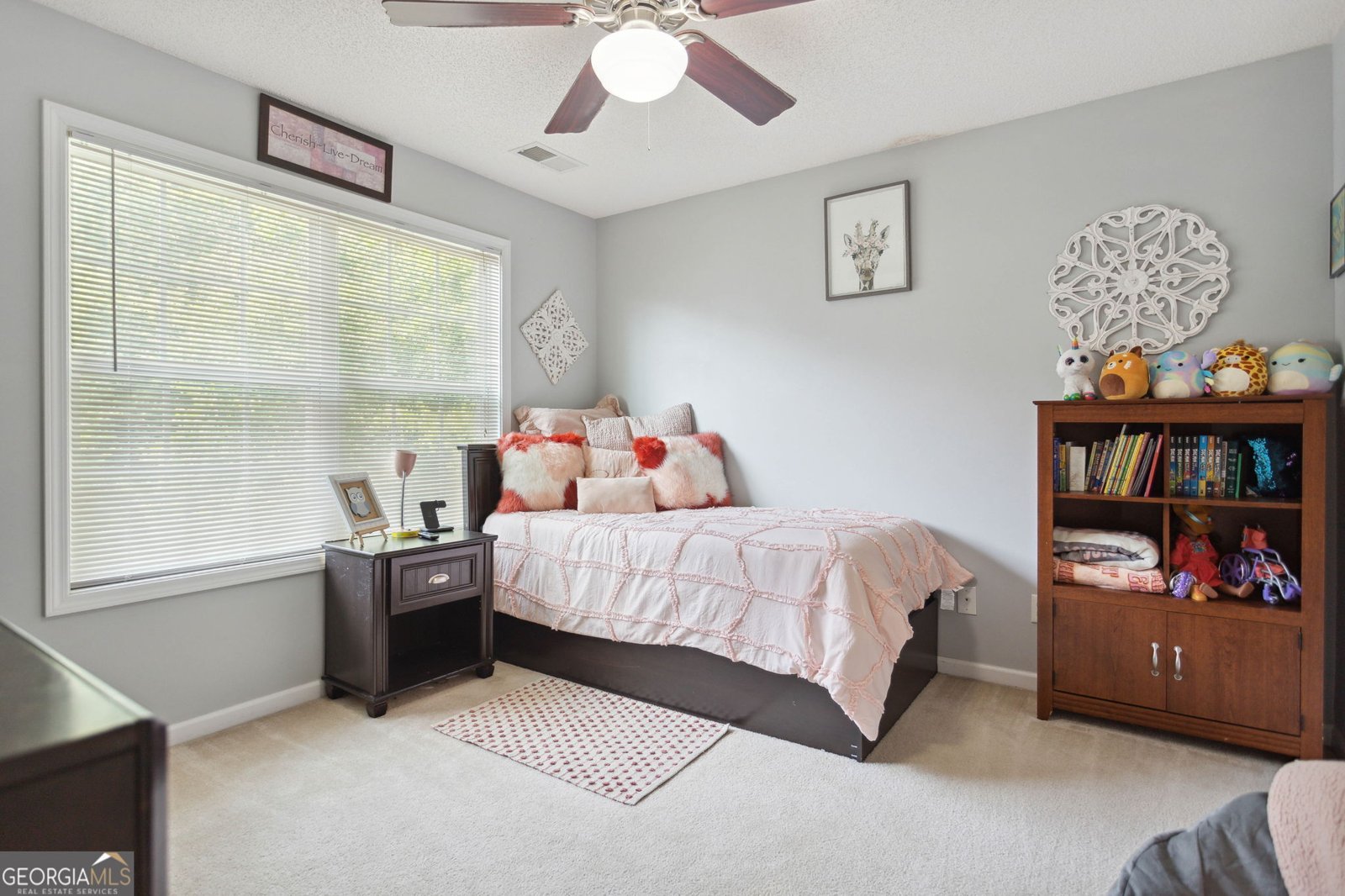 260 Millbrook Village Drive Tyrone - 21