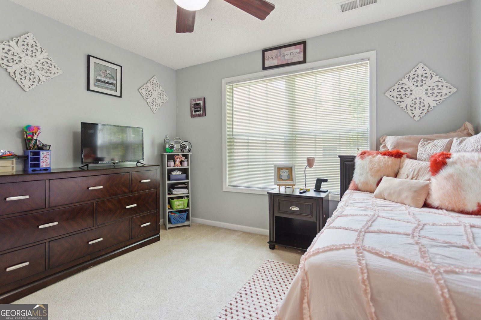 260 Millbrook Village Drive Tyrone - 22