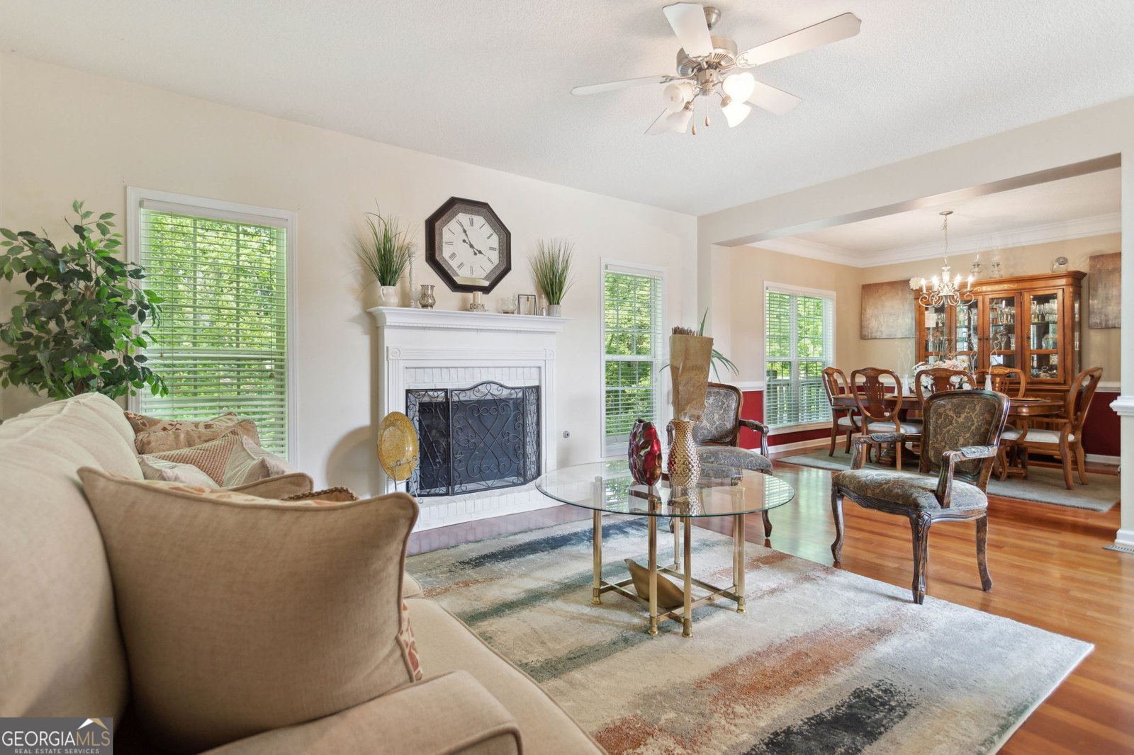 260 Millbrook Village Drive Tyrone - 3