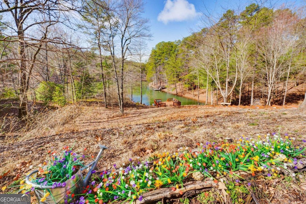 244 My Mountain Road Morganton - 75