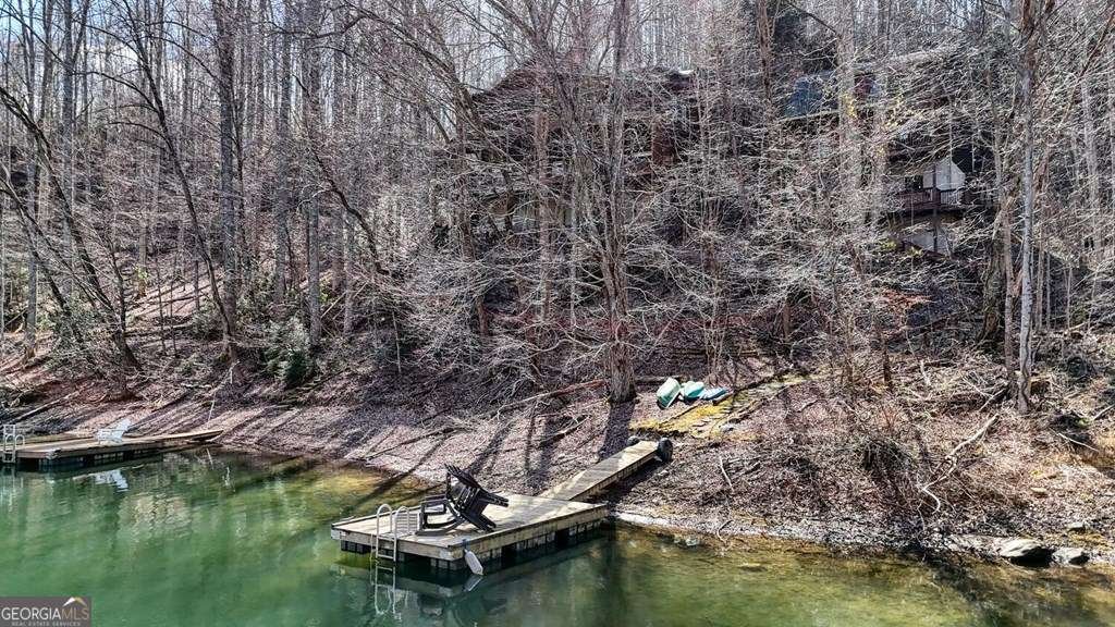 967 Indian Lake Drive Nameless - 2
