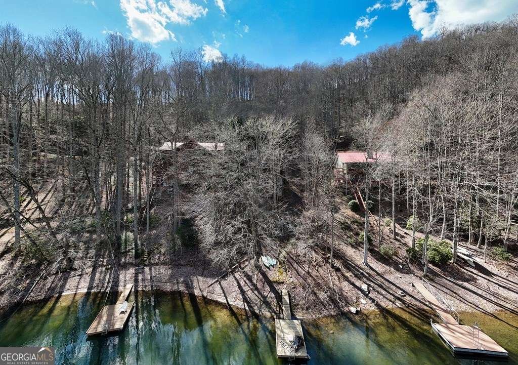 967 Indian Lake Drive Nameless - 49
