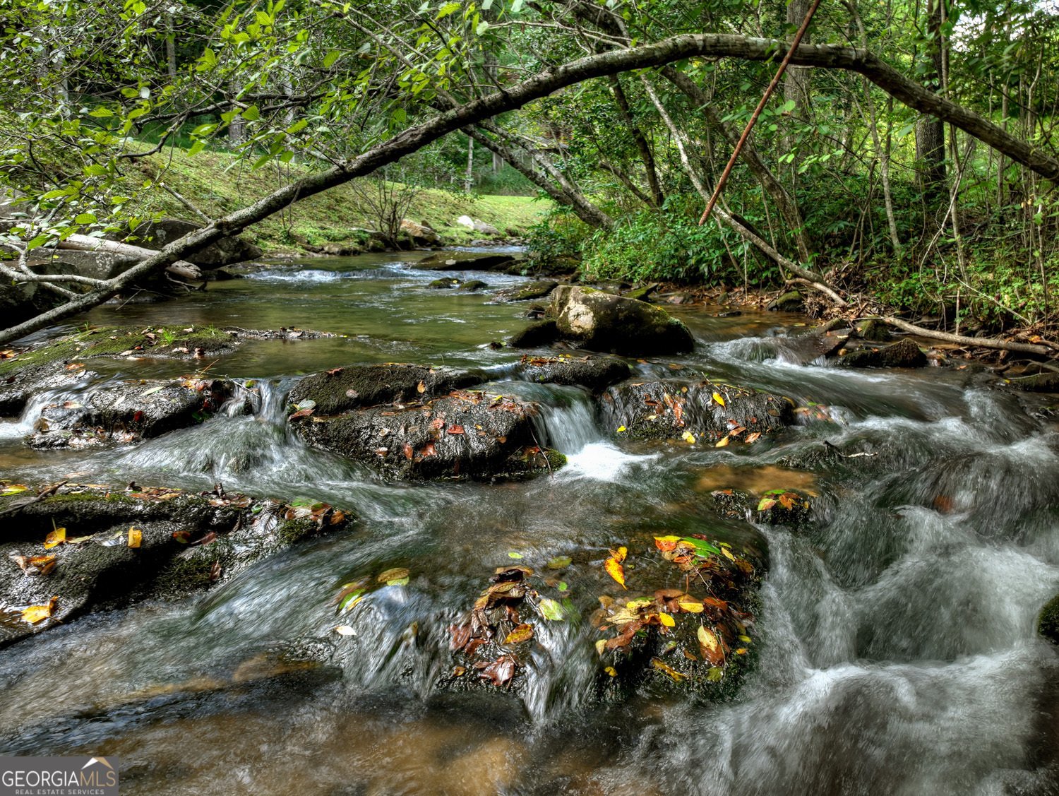 86 Cozy Valley Cherry Log - 2