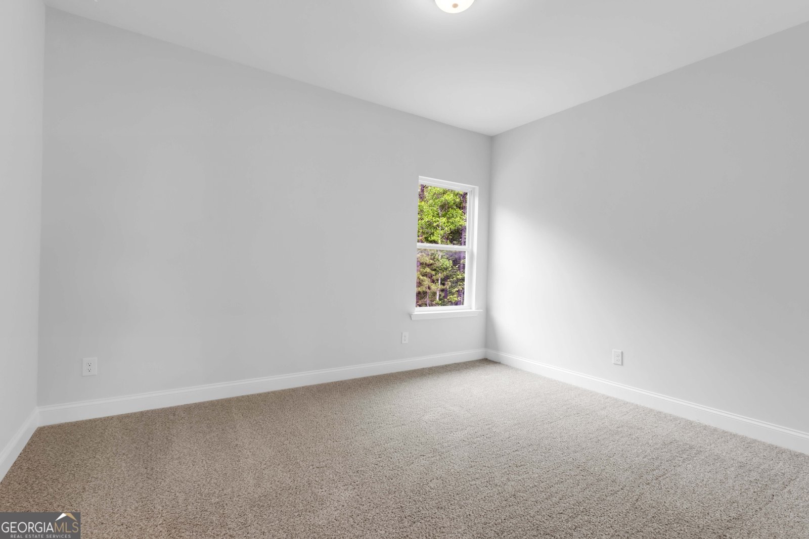 411 Red Wood Lane Hoschton - 36