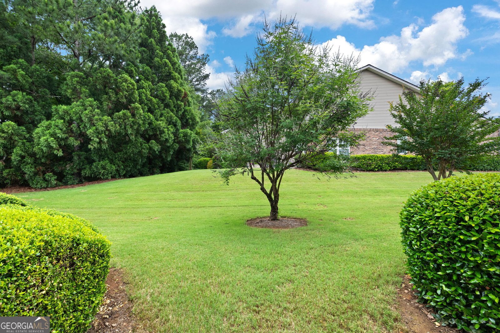3832 Abbott Lane Powder Springs - 33