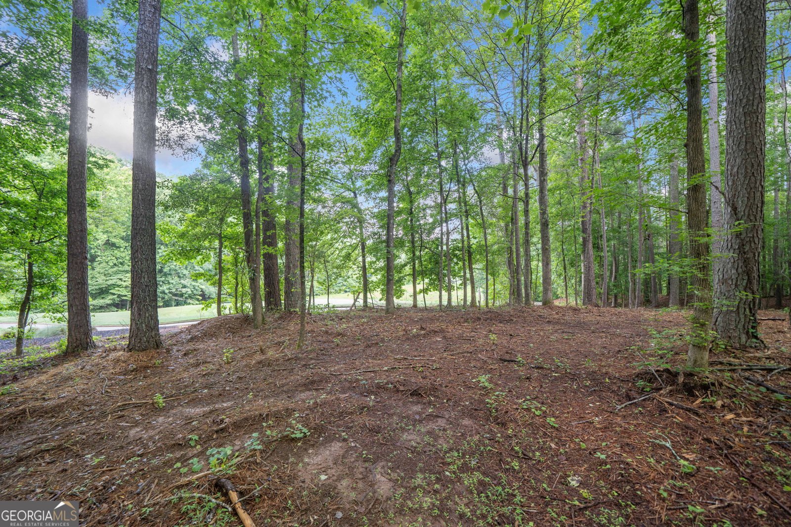 14880 Freemanville Road Milton - 5