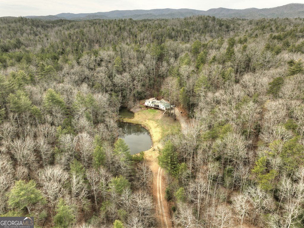 547 Canaan Road Ellijay - 2