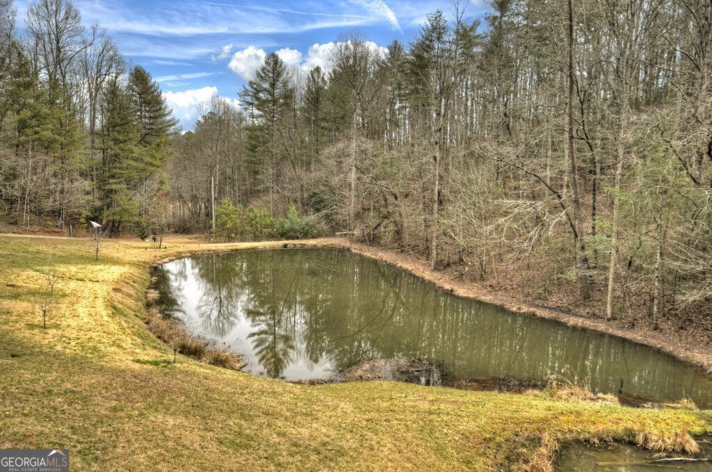 547 Canaan Road Ellijay - 23