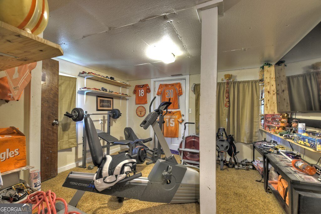 547 Canaan Road Ellijay - 36