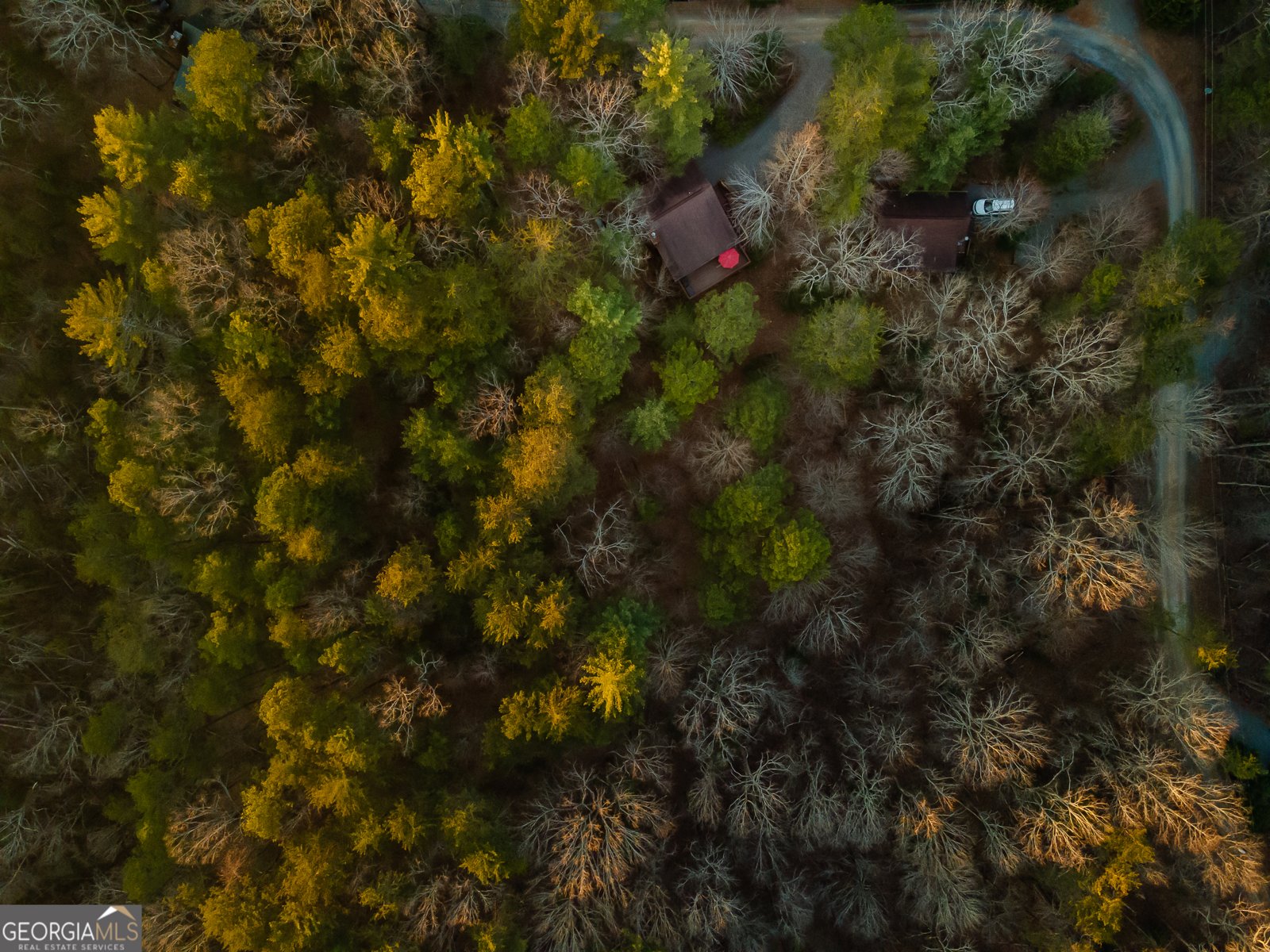 102 Briar Creek Ellijay - 27