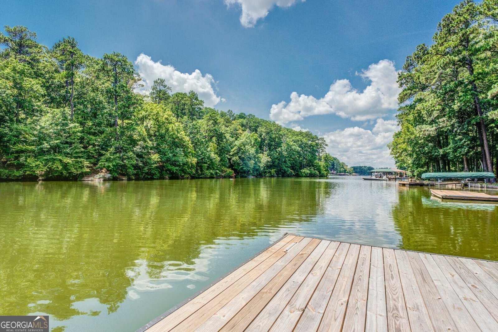 2601 Turtle Cove Trailway Monticello - 58
