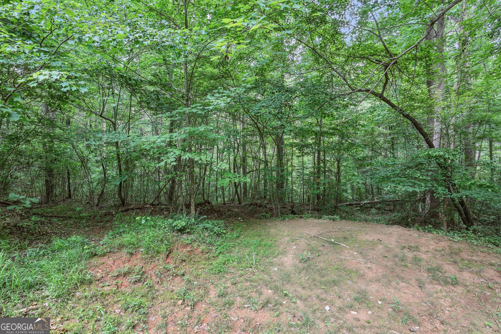 825 Signature Drive Mount Airy - 35