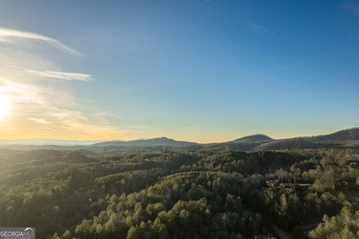612 Kensington Drive Mineral Bluff - 2