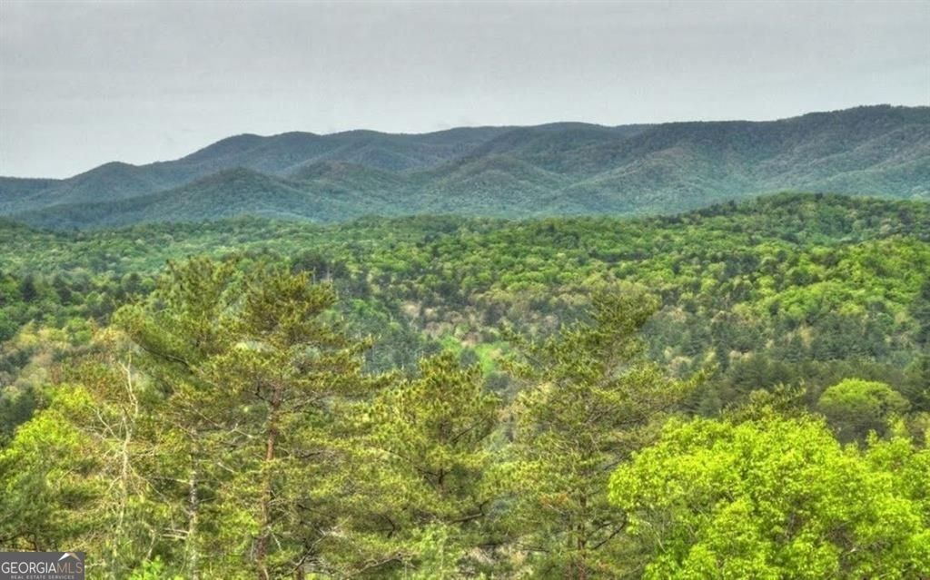902 Laurel Creek Trail Cherry Log - 2