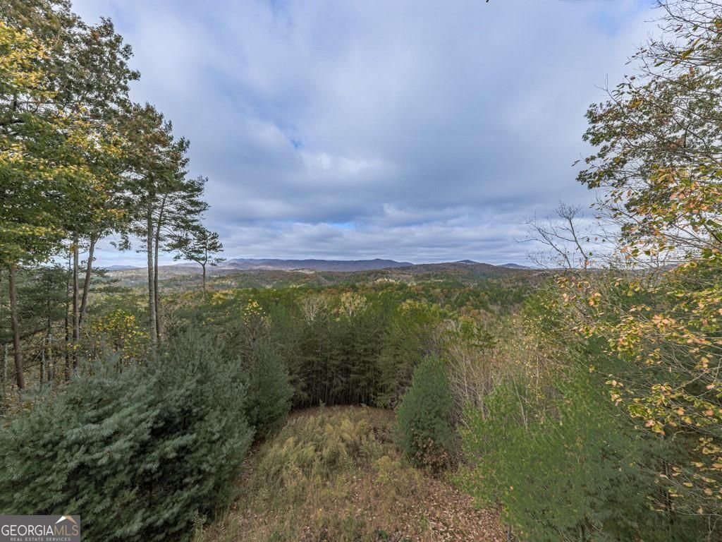 902 Laurel Creek Trail Cherry Log - 32