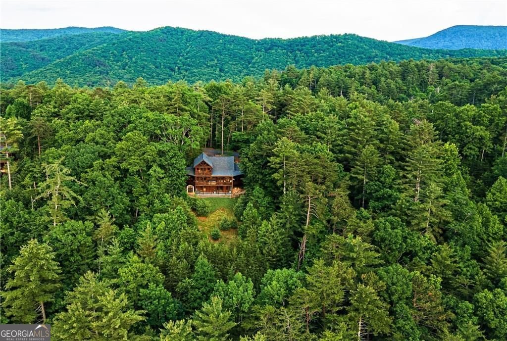 902 Laurel Creek Trail Cherry Log - 72