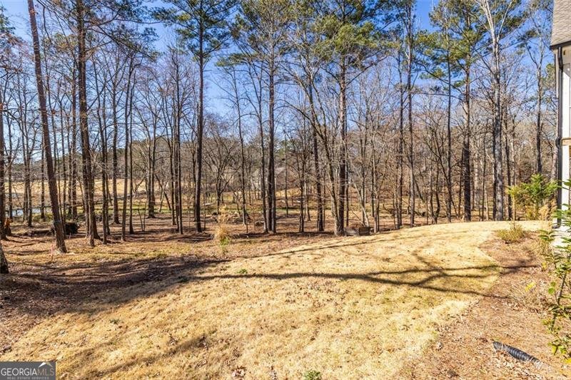 1131 PINEHURST Drive Greensboro - 81