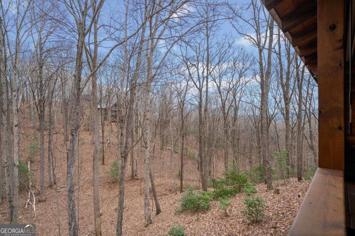 121 Broken Arrow Path Blue Ridge - 27