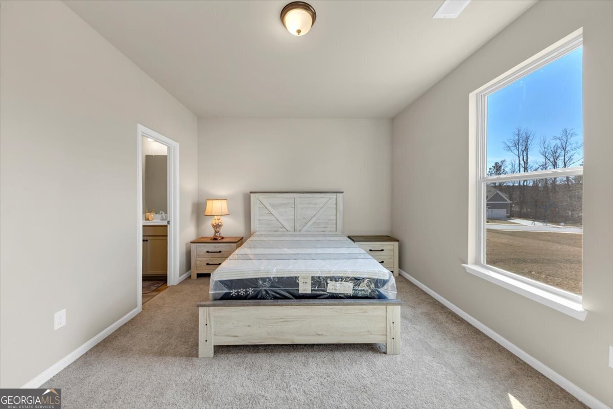 1734 Cadence Street Locust Grove - 25