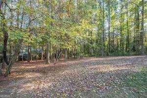 250 Devilla Trace Fayetteville - 4