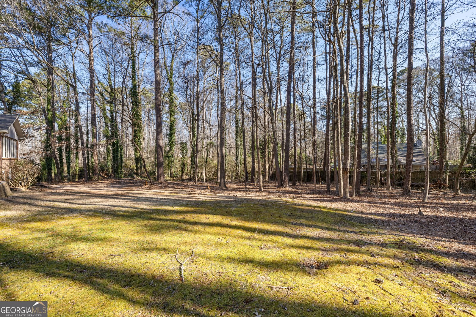 250 Devilla Trace Fayetteville - Photo 77