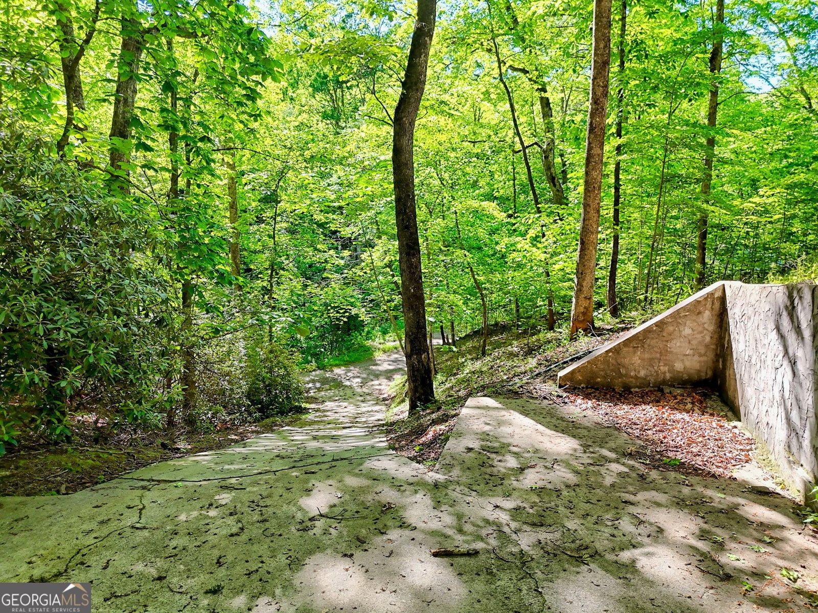 185 Pope Dickson Lane Clarkesville - 39