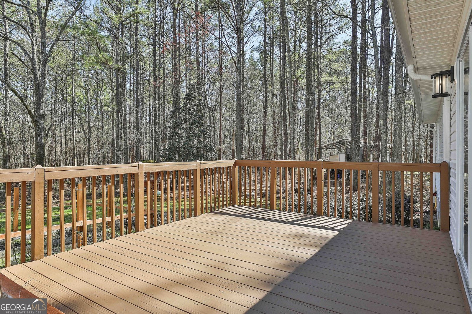 2390 Mount Carmel Road Newnan - 45