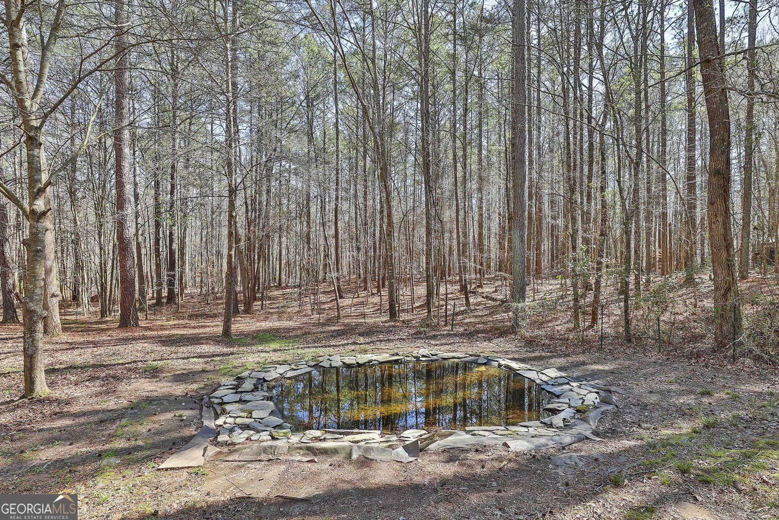 2390 Mount Carmel Road Newnan - 72