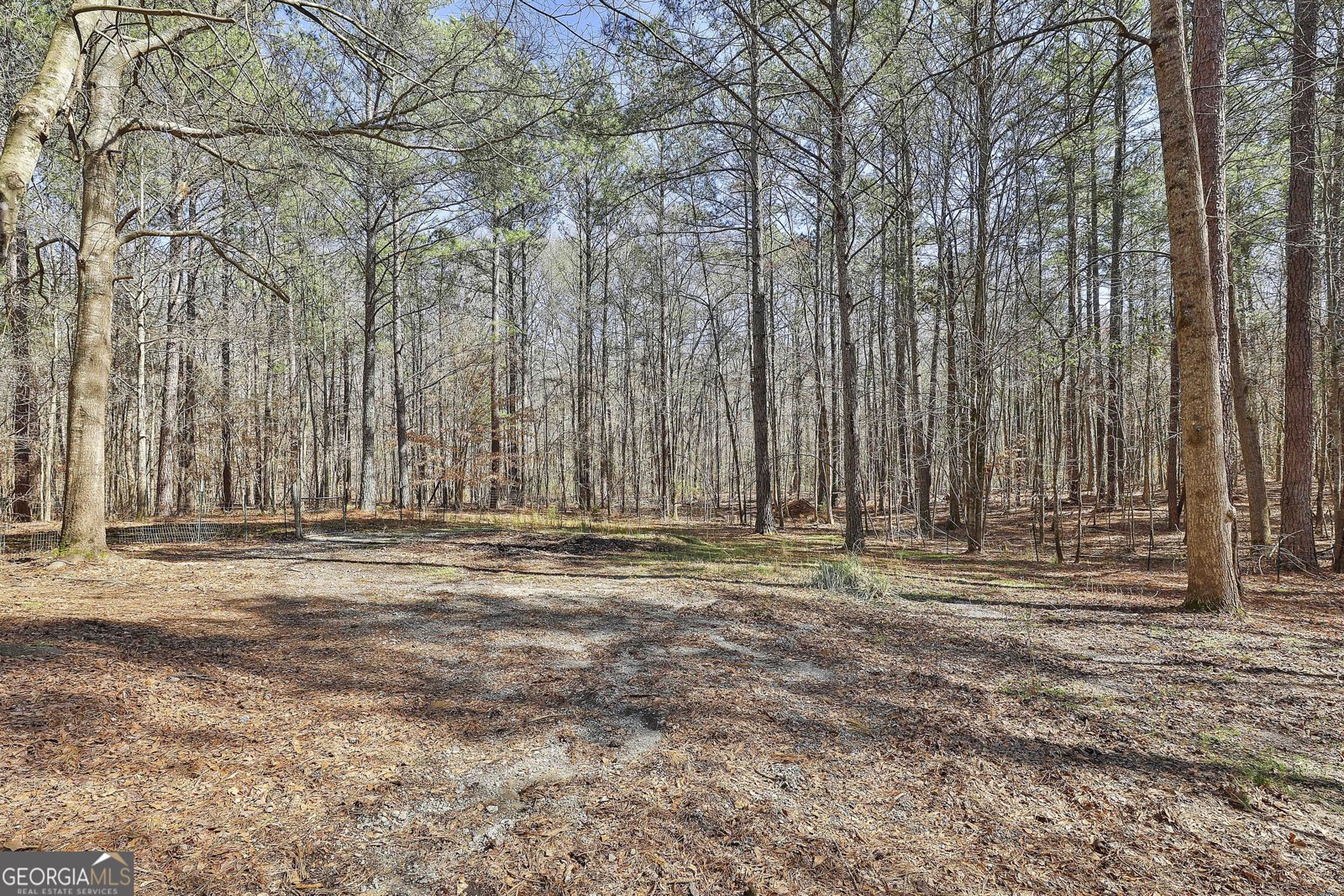 2390 Mount Carmel Road Newnan - 73