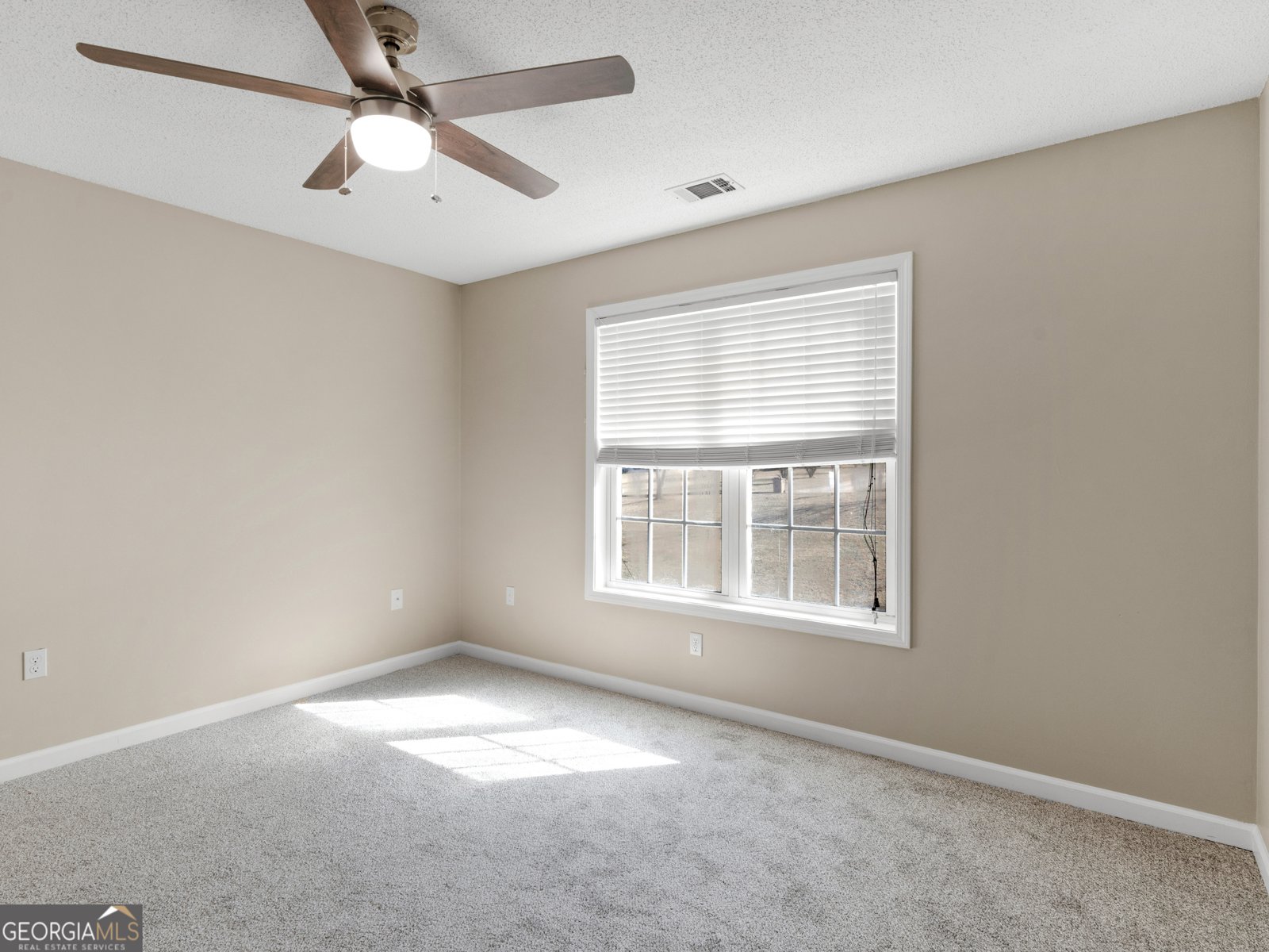 231 Ashley Trace Drive Locust Grove - 23