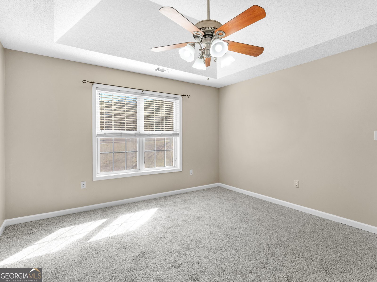 231 Ashley Trace Drive Locust Grove - 29