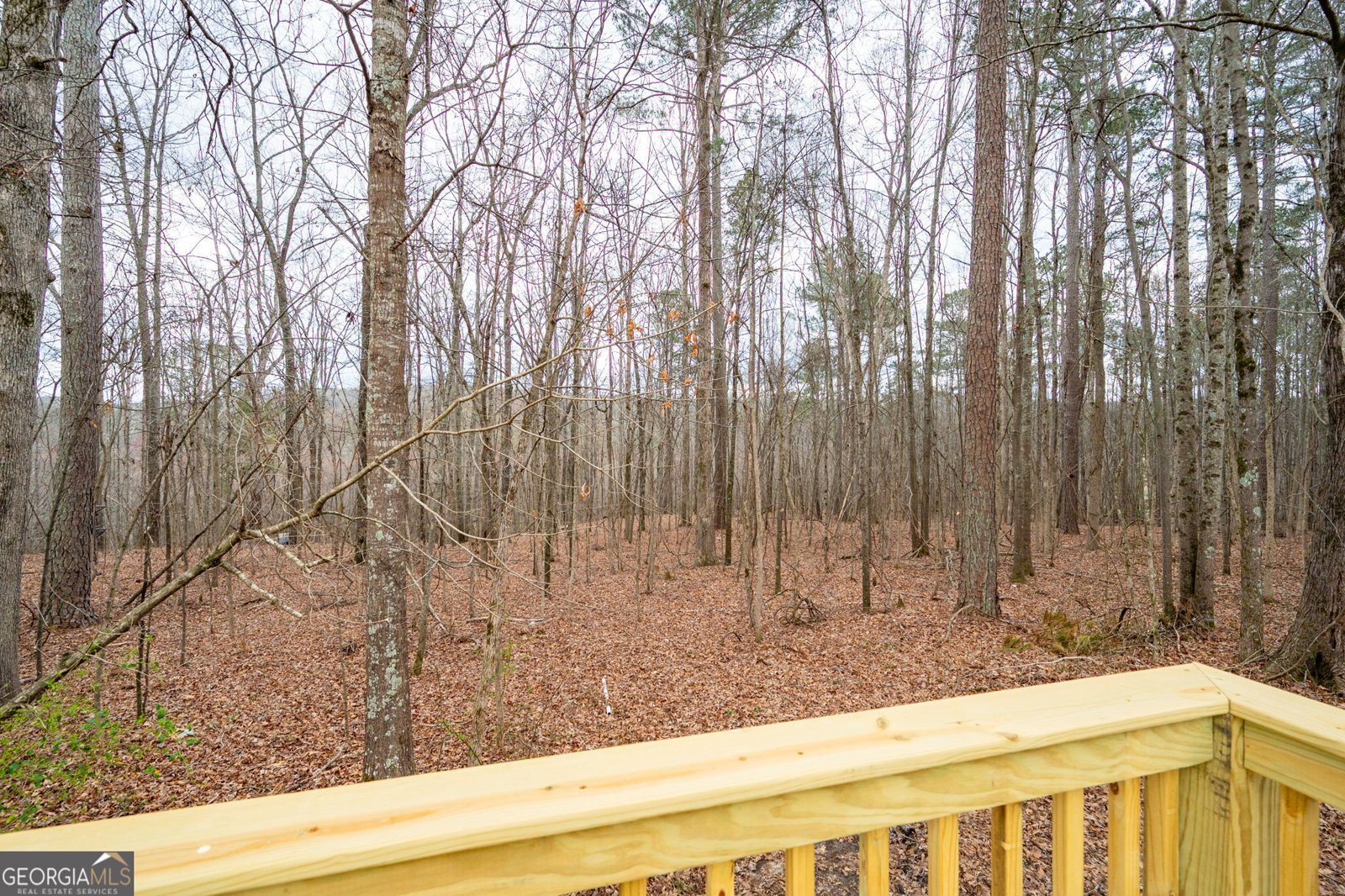 8951 BREWER Road Douglasville - 17
