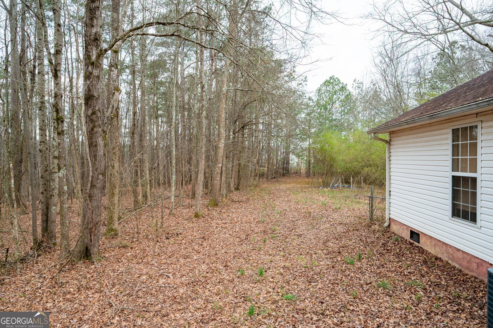 8951 BREWER Road Douglasville - 20