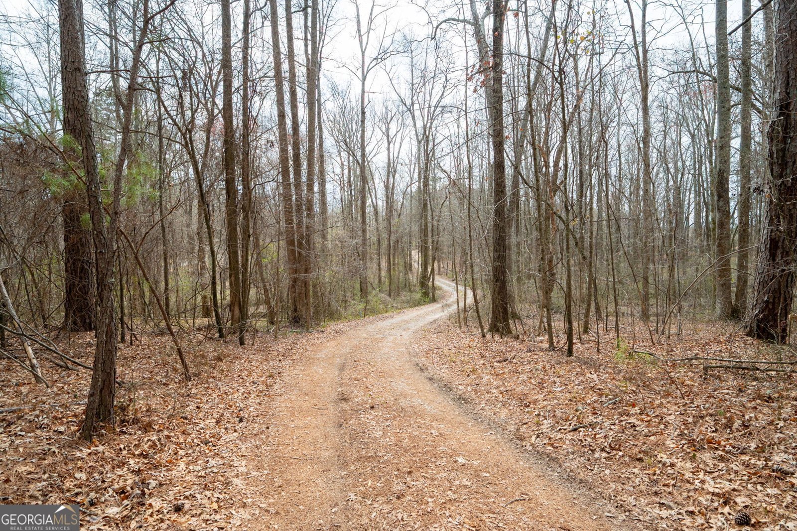 8951 BREWER Road Douglasville - 24